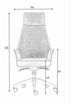 Apex Yönetici Koltuk