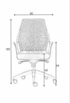 Apex Çalışma Koltuk