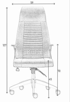 Pulsar Yönetici Koltuk
